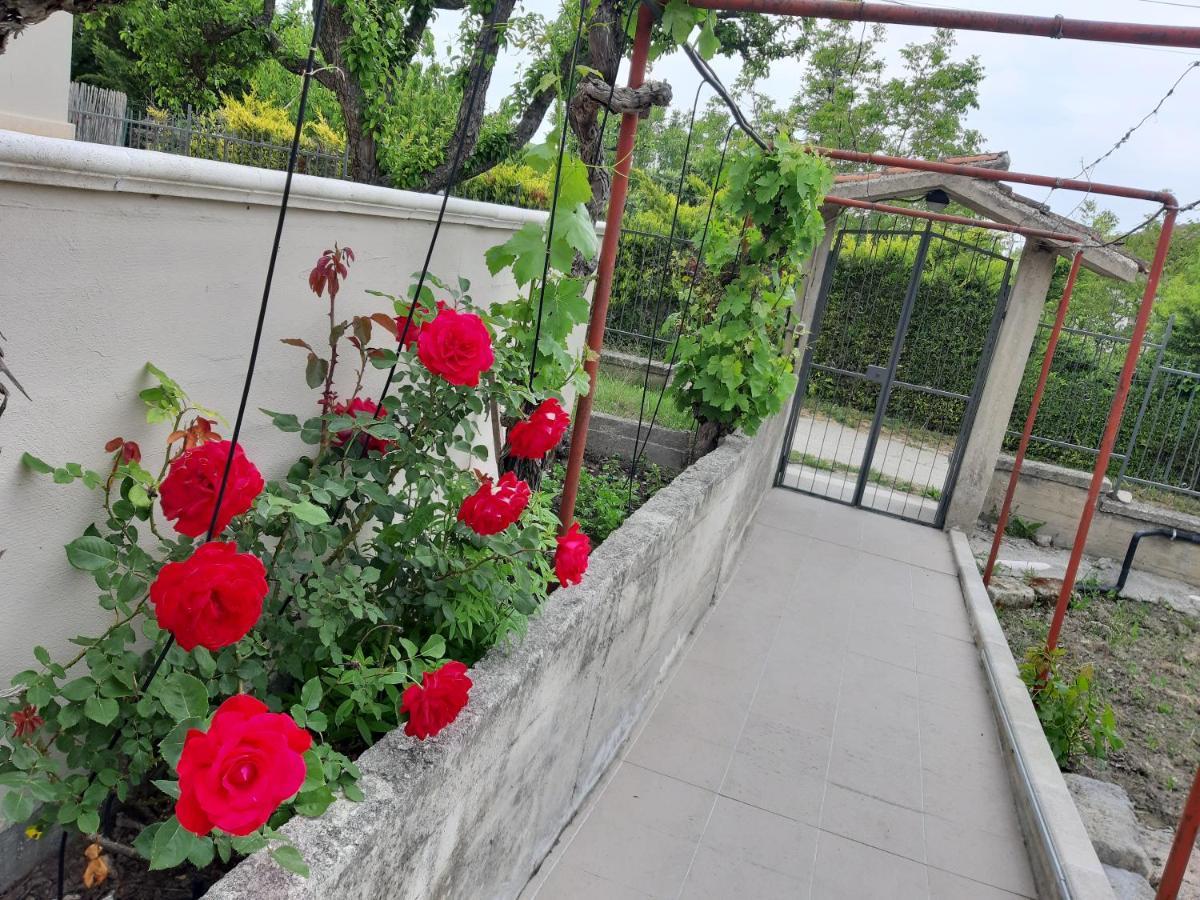 La Collinetta Dei Sassi Villa มาเตรา ภายนอก รูปภาพ