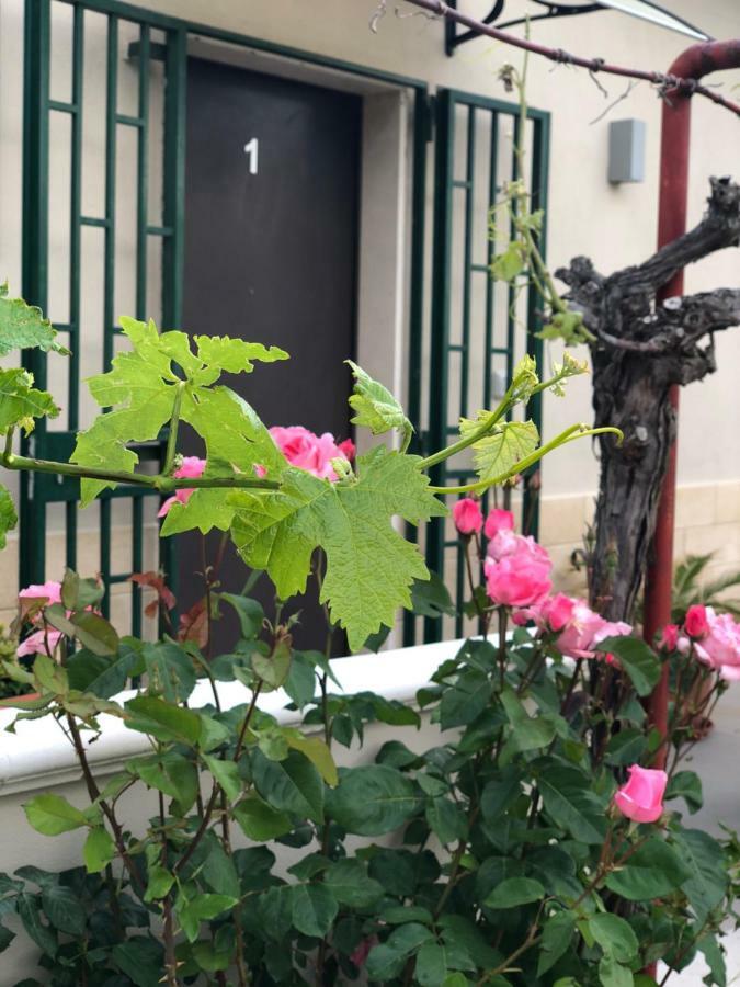 La Collinetta Dei Sassi Villa มาเตรา ภายนอก รูปภาพ